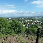 „zum Napoleonstein“ Dresden