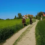 „zum Napoleonstein“ *