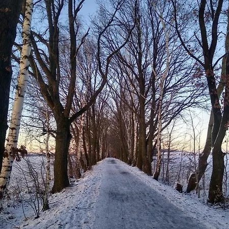 „zum Napoleonstein“ Δρέσδη