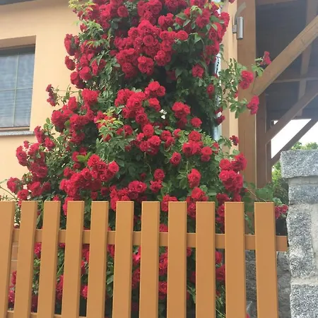 „zum Napoleonstein“ * Δρέσδη