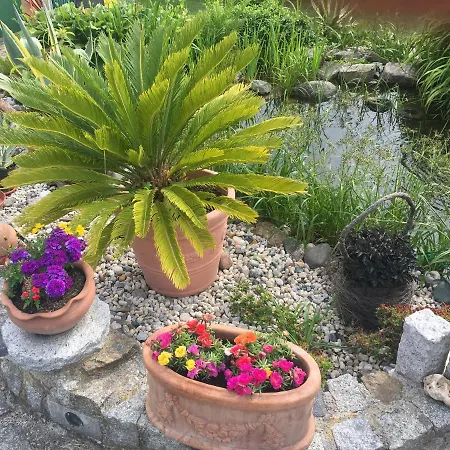 Διαμέρισμα „zum Napoleonstein“