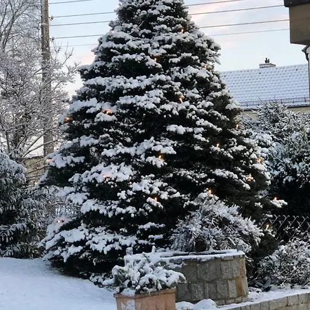 „zum Napoleonstein“ Dresden