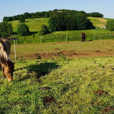 „zum Napoleonstein“ Appartement *