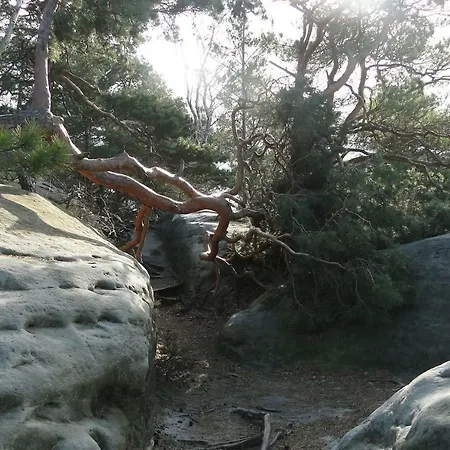 „zum Napoleonstein“ *