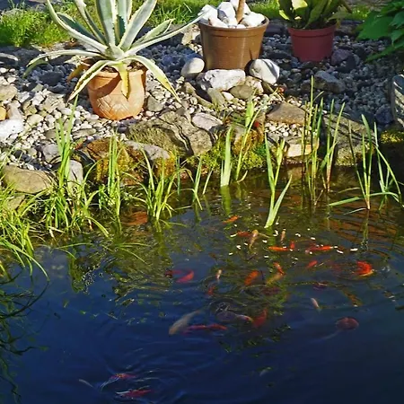 Appartement „zum Napoleonstein“ *