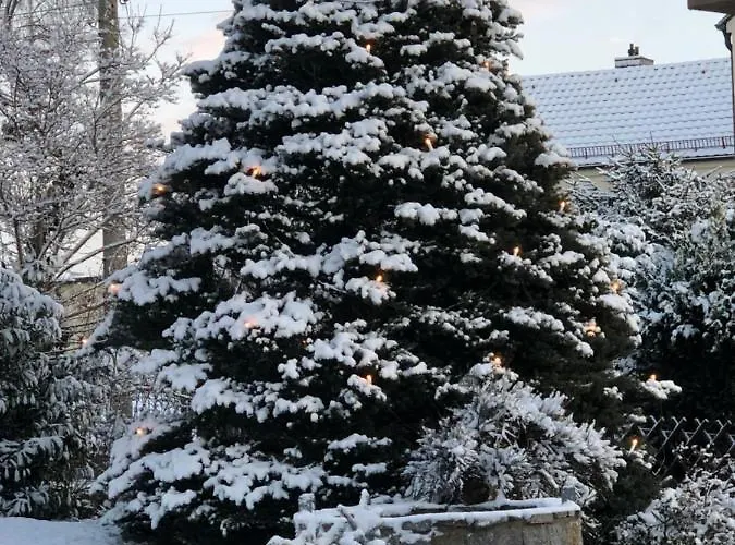 „zum Napoleonstein“ Drezda