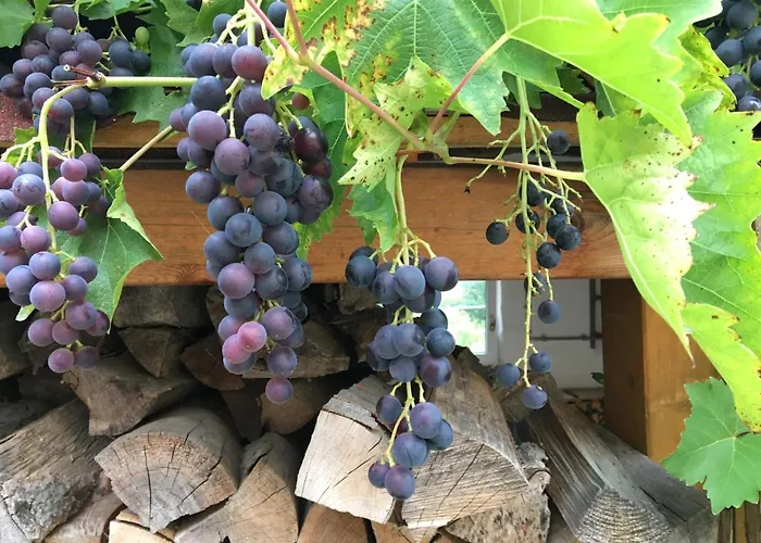 „zum Napoleonstein“