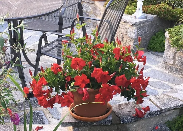 „zum Napoleonstein“ * Drezda