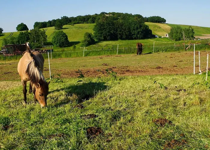 „zum Napoleonstein“ Apartman *