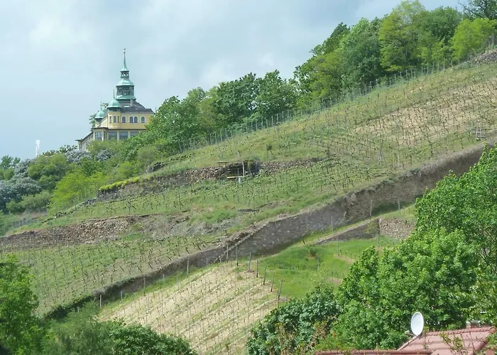 „zum Napoleonstein“ Drezda