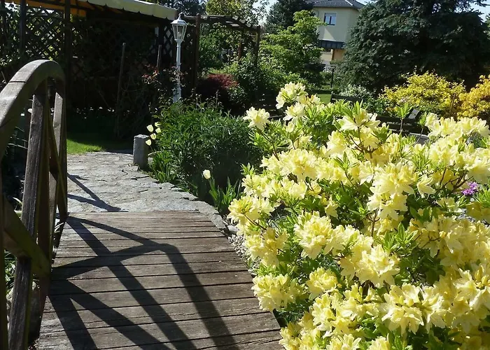 „zum Napoleonstein“ Drezda