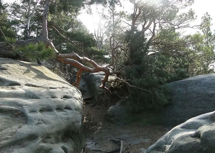 „zum Napoleonstein“ *