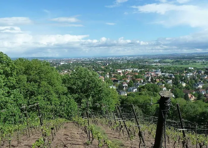 „zum Napoleonstein“ Drezda