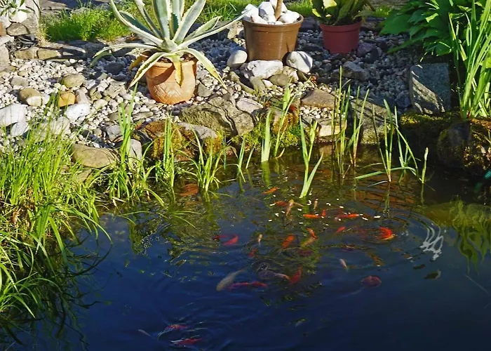 Apartman „zum Napoleonstein“ *