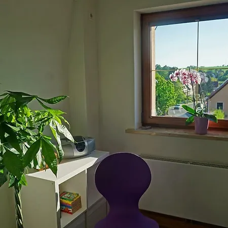 „zum Napoleonstein“ Appartement