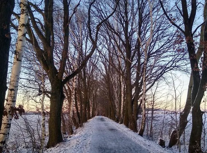 „zum Napoleonstein“ Dresda