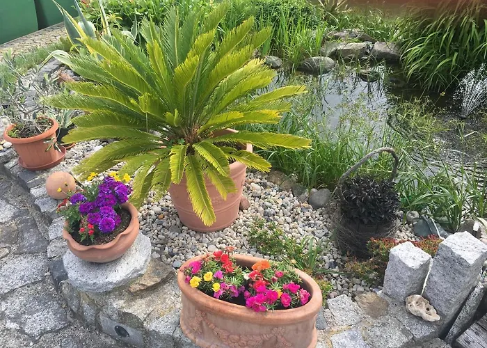 Appartamento „zum Napoleonstein“