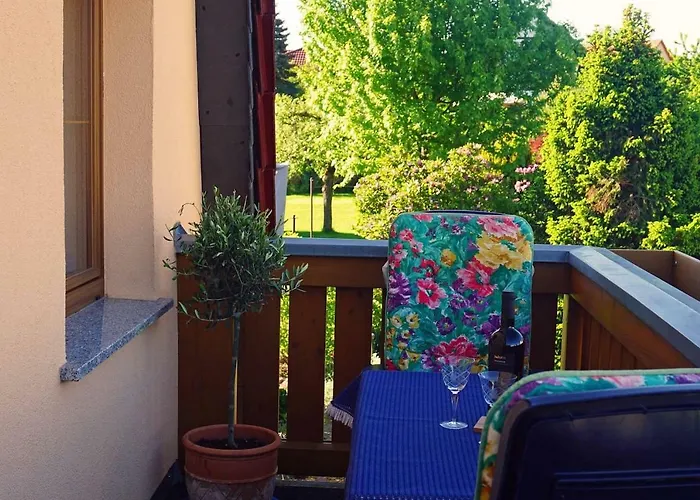 „zum Napoleonstein“ * Dresda