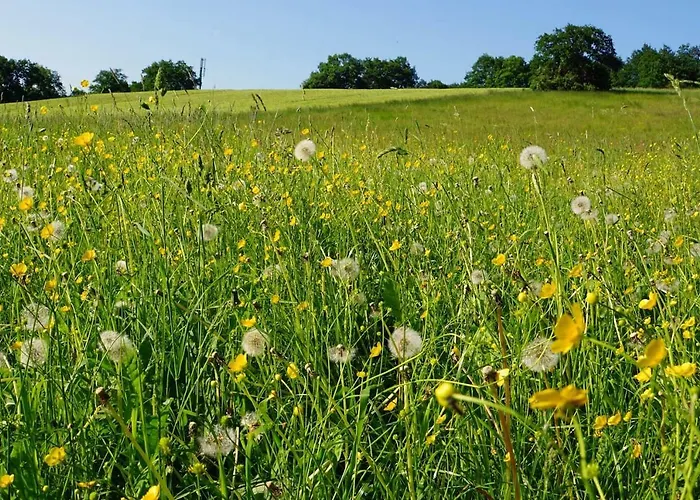 Appartamento „zum Napoleonstein“ *