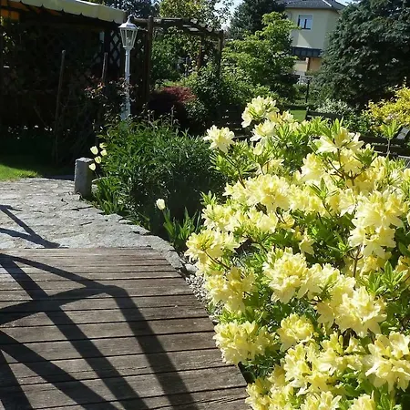 „zum Napoleonstein“ דרזדן