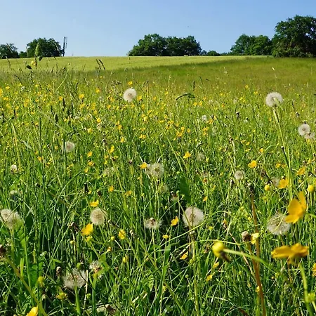 Appartamento „zum Napoleonstein“ *