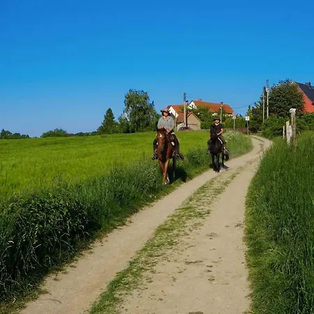 „zum Napoleonstein“ *