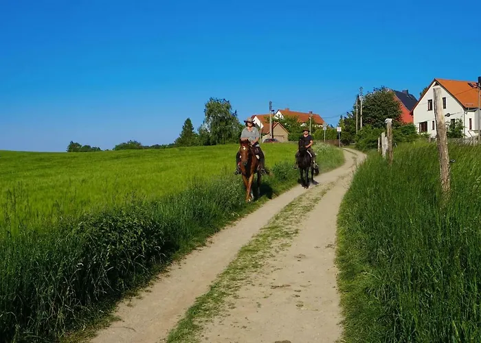 „zum Napoleonstein“ *